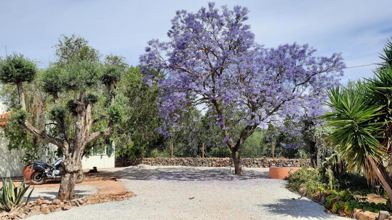 Rural Peace In The Algarve - Private Room With Kitchenette And Bathroom Aldeia dos Matos Kültér fotó